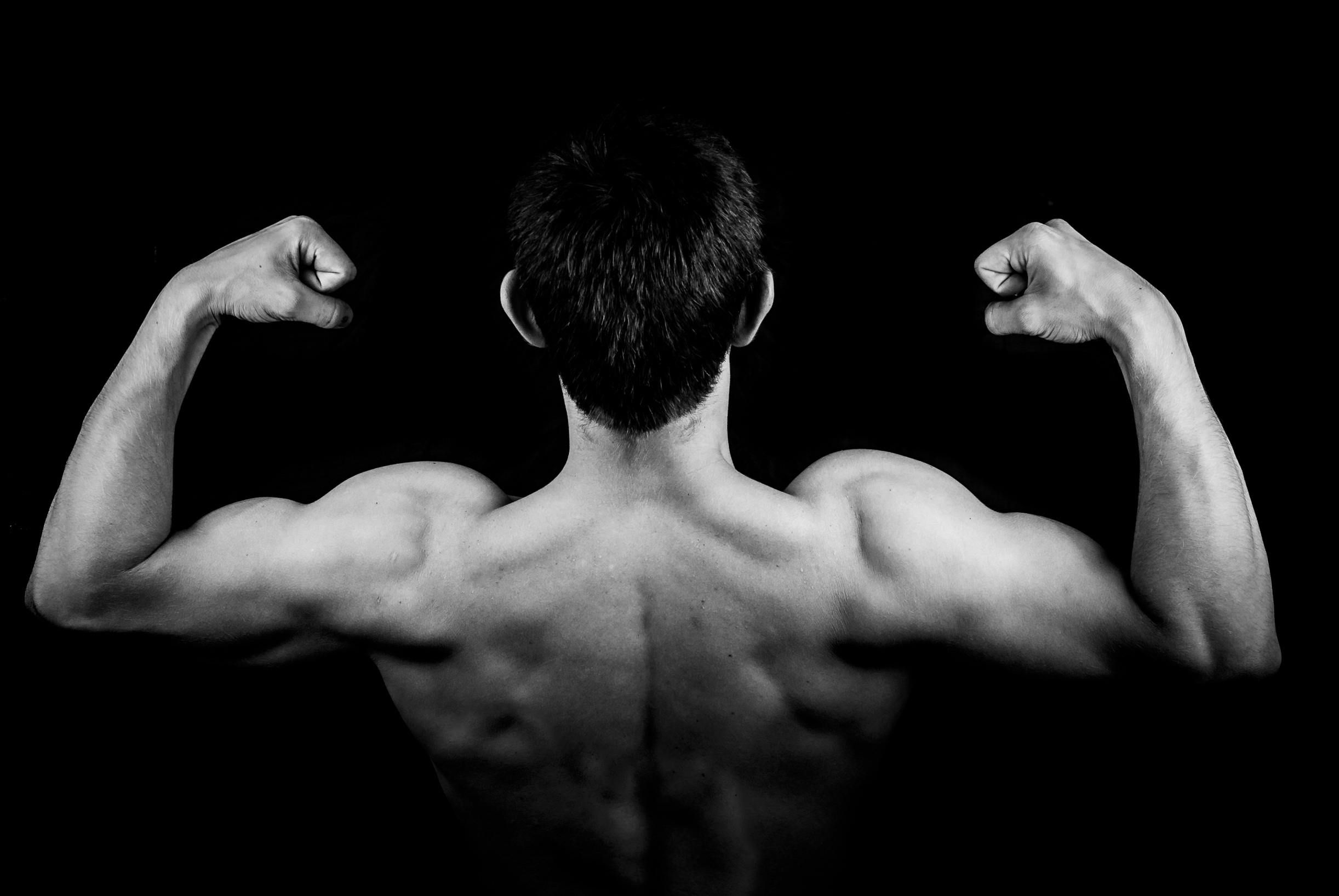 The Ultimate Guide to Bicep Workouts: Building Strength and Size in Your Upper Arms